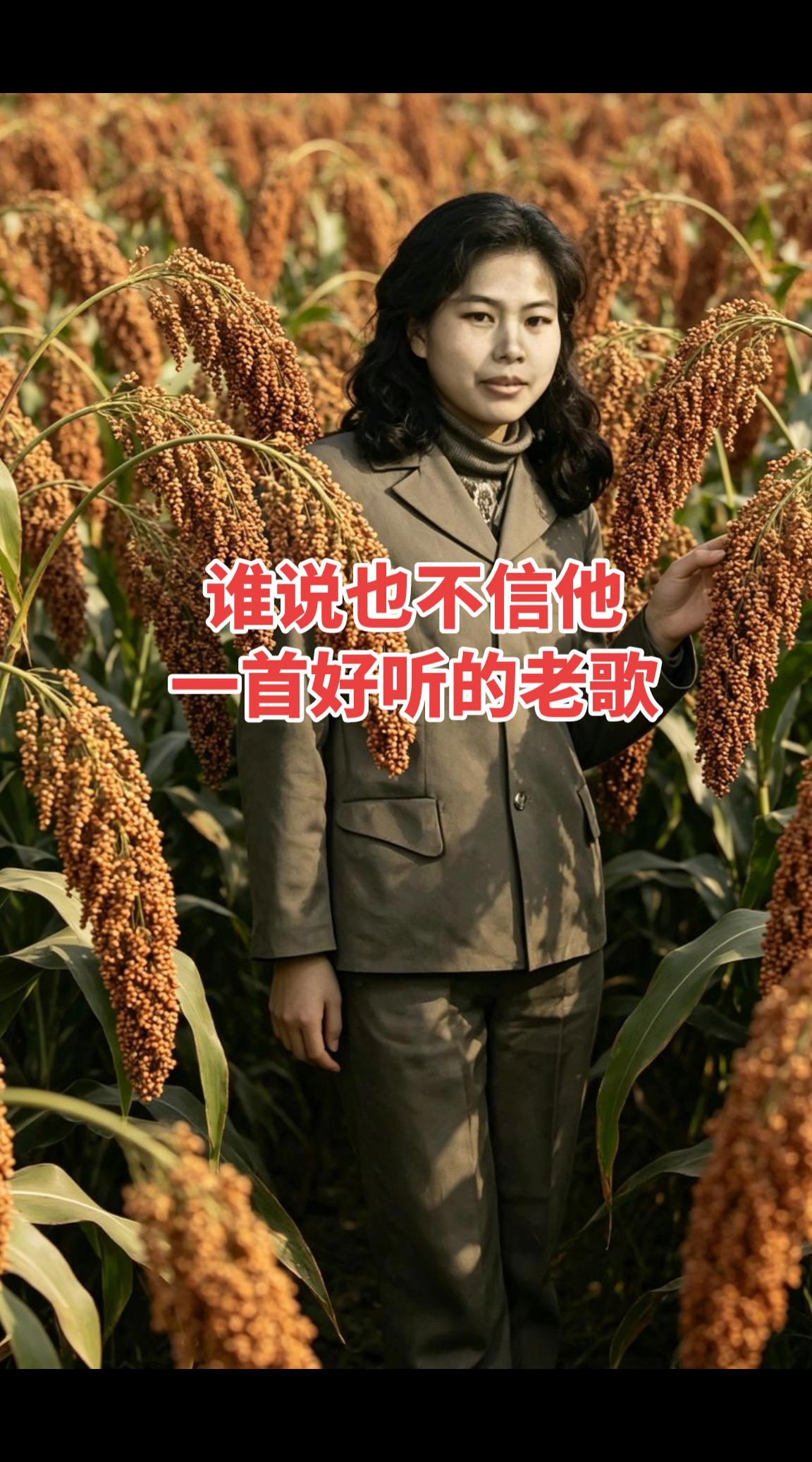 听懂这首歌词的，年龄已经不小了。真实生活分享计划 分享一首怀旧金曲，谁说也不信他