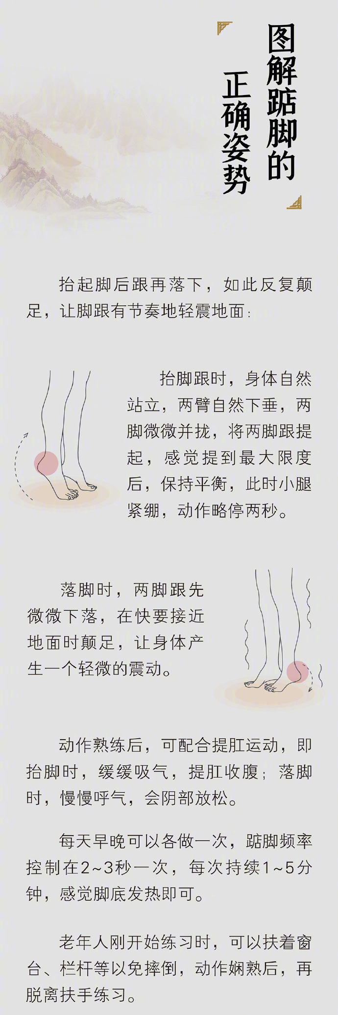 【建议没时间运动的人每天踮踮脚】踮脚是一个全身器官都爱的动作，不受时间、空间约束