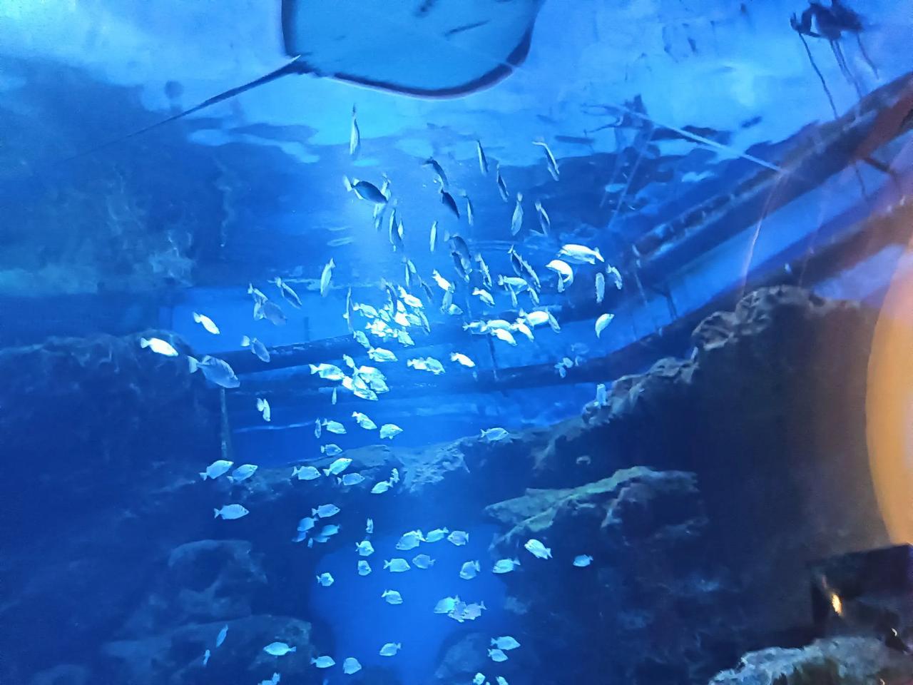 感觉鹿晗快碎了
那句只有我一个人变老了吗
让人感觉心疼
和北京的关关不好吗
才3
