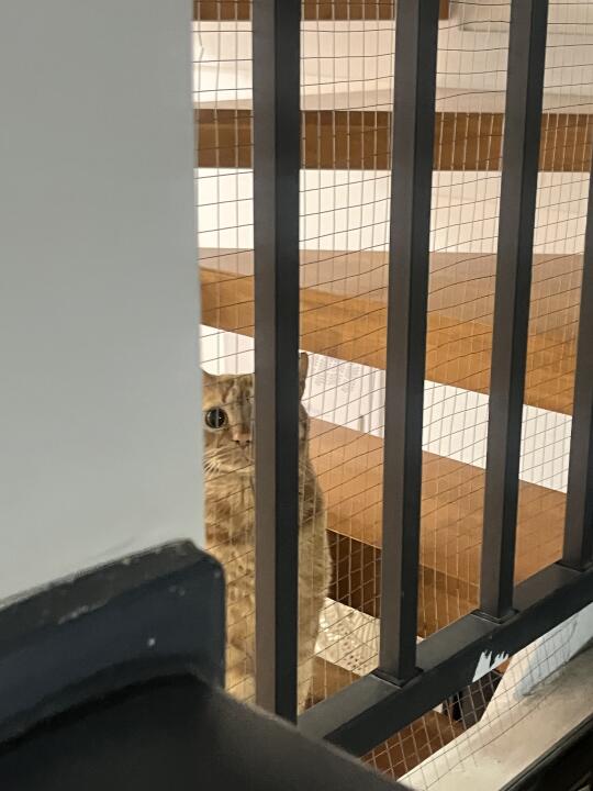 人，你来看我啦