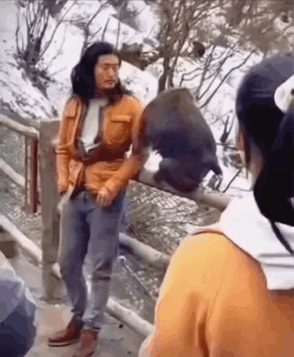 猴哥，来，过几招
