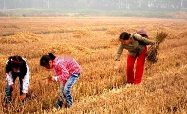 不过在当时暑假时间是缩水了的，只有一个半月。
现在放春秋假无论对农村还是城里的孩
