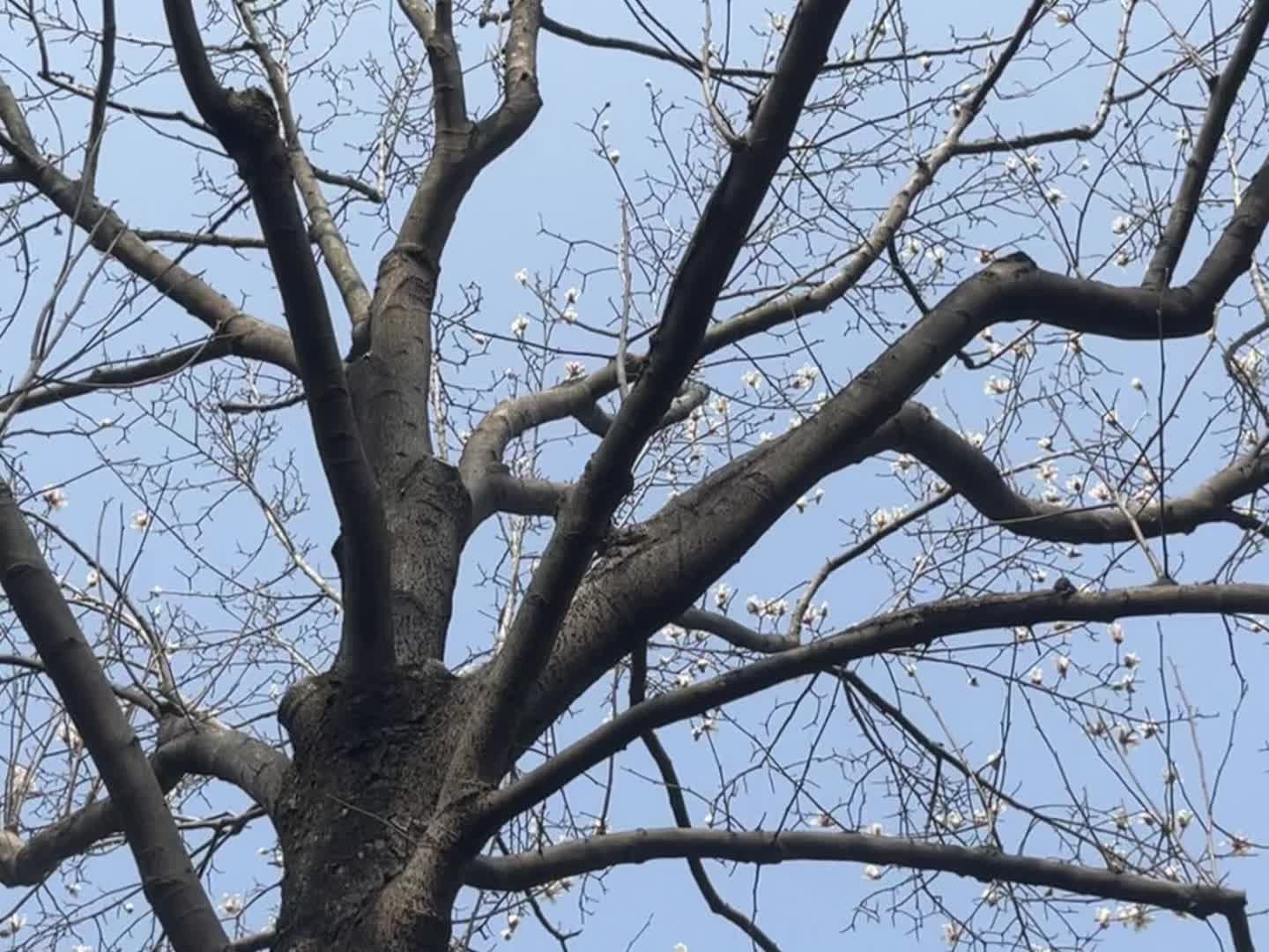 “不要拉朋友上路而是在路上找朋友” 同频的人不是约着出发，而是路上遇到...