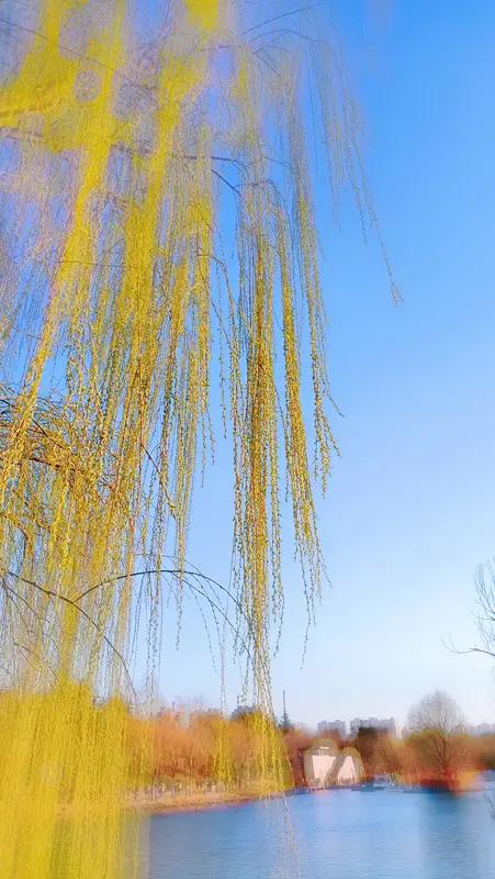 这两句诗太有意境啦！“停舟可赏柳垂柔”，想象一下，当你把船停下，静静置身于水面，