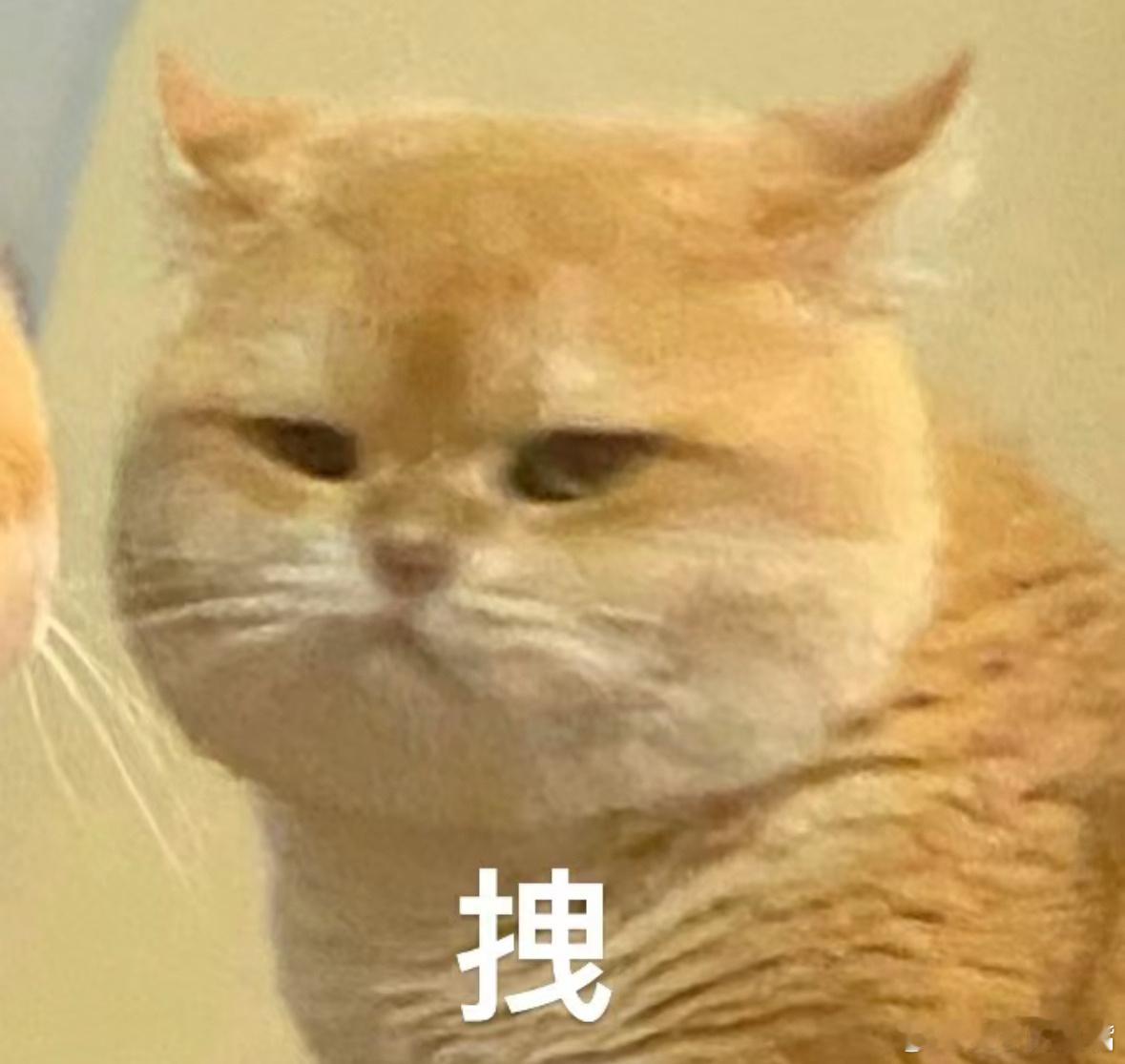 参加高考的宝子必须全部考上大学心仪的大学，去见到心仪的人！也期待和你们同在同一个
