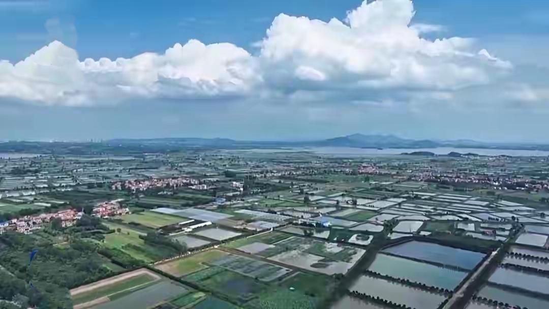 一个闲置宅基地如何变成亲子打卡地？宁夏银川兴庆区洼路村给出了答案。这里曾是寻常农