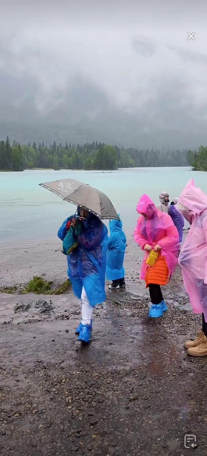 只能够坐景区里面的区间车才能够上到观云台。观云台这条路比较难走，曲折蔓延绳之自行