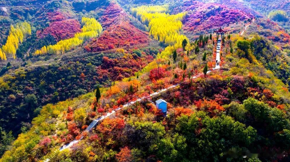 【秋游洛阳赏限定美景！】蓝天、白云、红叶，#荆紫仙山# 进入了一年中色彩最丰富的