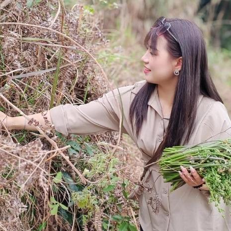 宁波女子爬山时顺手摘了一把蕨菜，回家清炒一盆下肚，结果还没等收拾桌子就中毒了；医