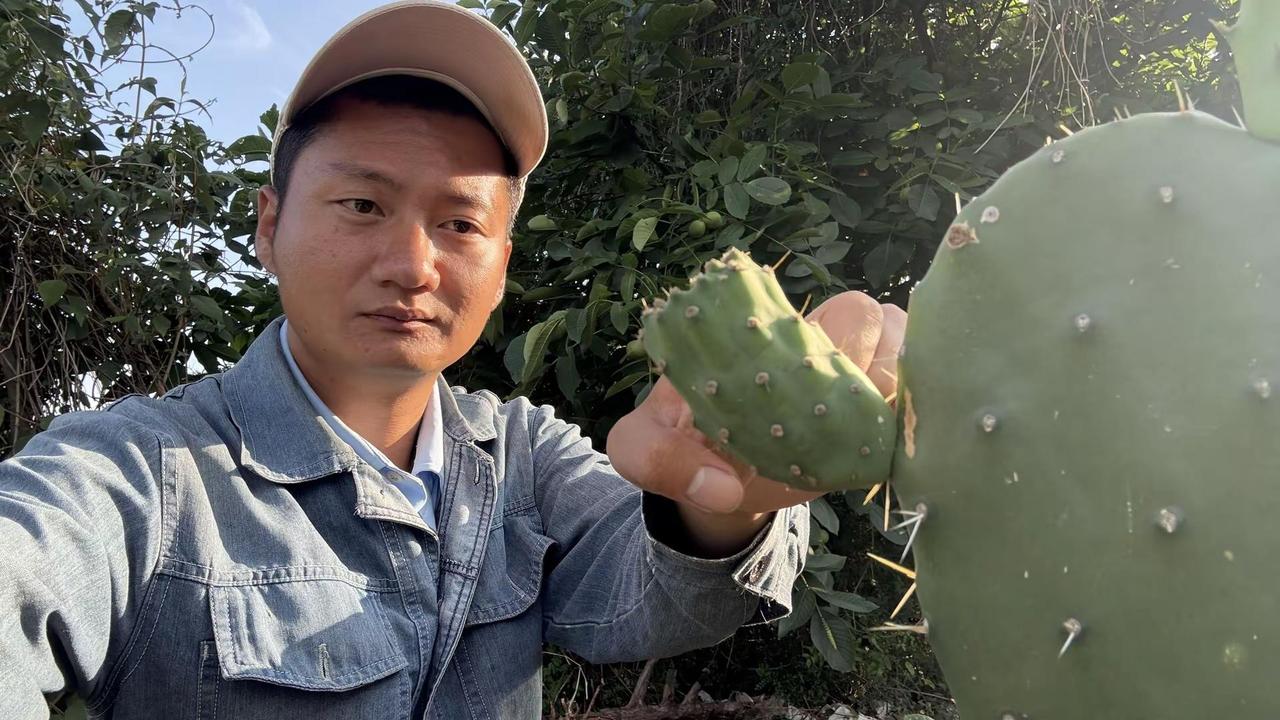 最近随着农业的股价暴跌，影响的当然是大消费，而农业经济本质也是大消费，所以各位搞