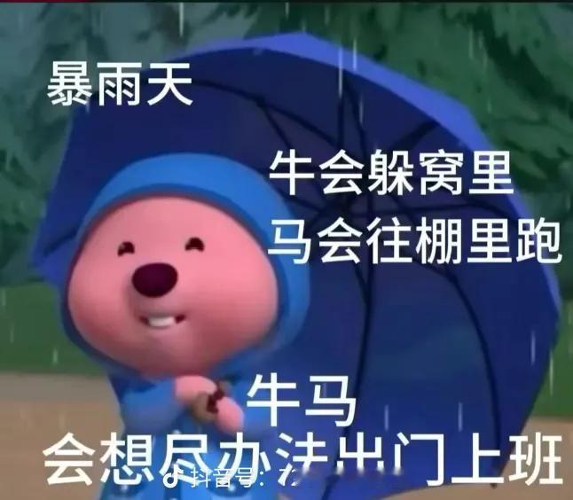 台风天吃到职场黑利了本来台风天就够糟心了，还遇上职场嘿利，心情直接降到冰点。直接