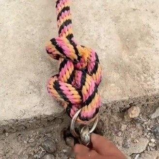 新疆一水渠遍布救命绳暖心之举 西安·华严寺