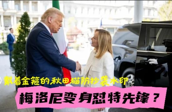 美女总理一天涨粉十万！
梅洛尼之前因“最懂特朗普”当选意大利总理、如今因“硬怼特
