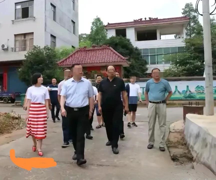 工作照中，共见过李佩霞书记有2次穿红色鞋的场景，都是在陪同上级领导来乡镇检查指导