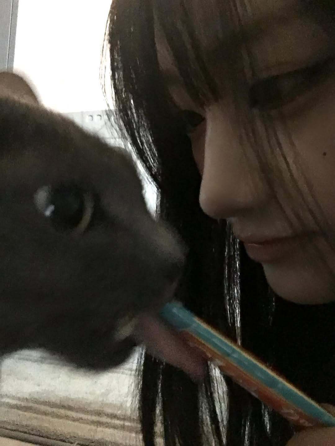 SAYMYNAME 徐俊辉 🐱🐶🖤 