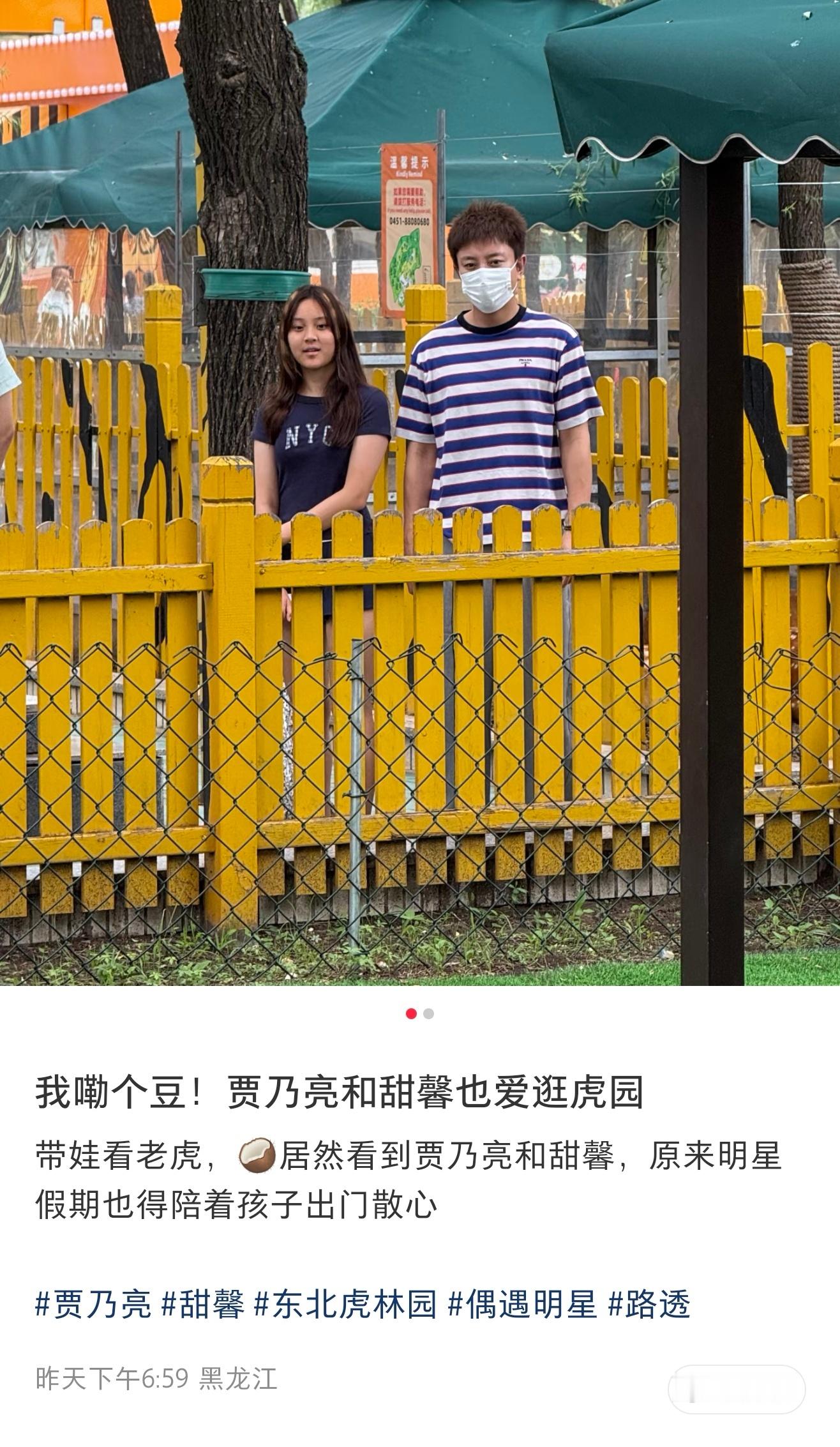 贾乃亮陪甜馨逛虎园 网友说带娃看老虎，居然看到贾乃亮和甜馨，原来明星假期也得陪着