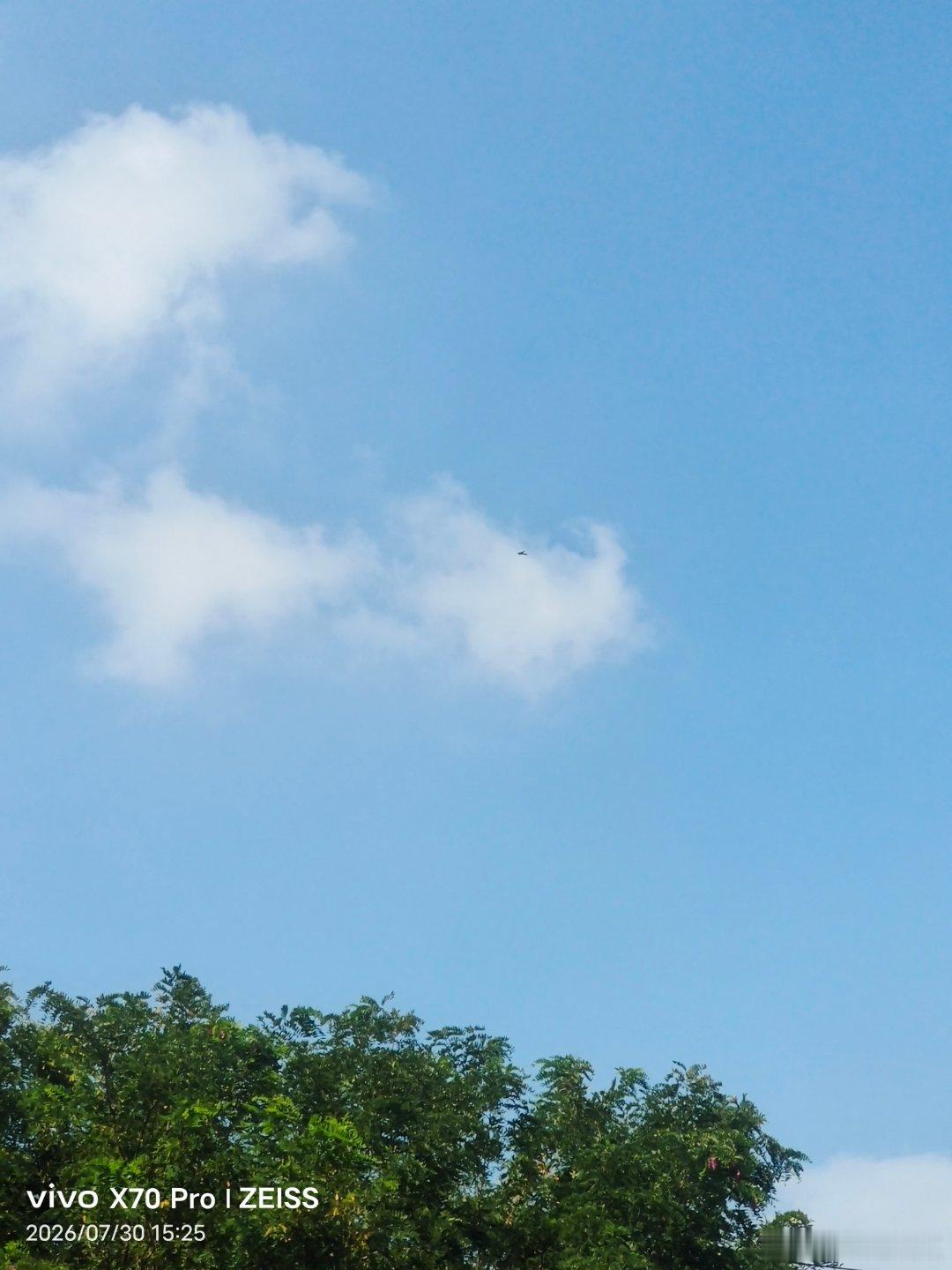 vivo 天空的颜色好美，还有小燕子在自由的飞翔。知了在疯狂的鸣叫，就是有点热。