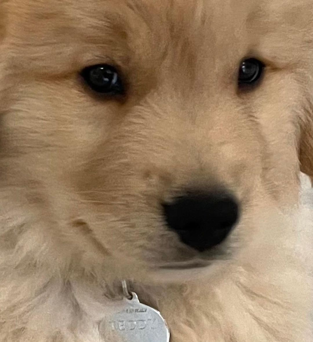 一天没见了，回来也不是摸摸我，就知道打游戏 