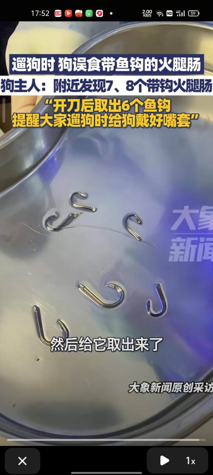 10月20日，福建福州。李先生（化名）发视频表示，自己出门遛狗时，狗子误食带鱼钩