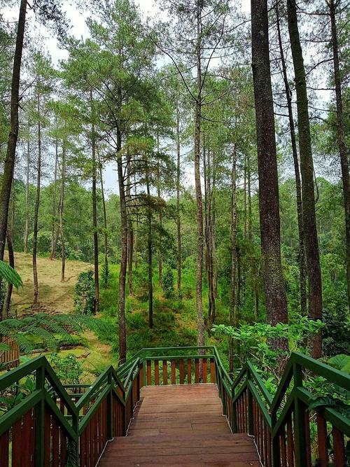 前往东湖磨山景区，公共交通非常便利。您可以乘坐402路、401路或413路公交车