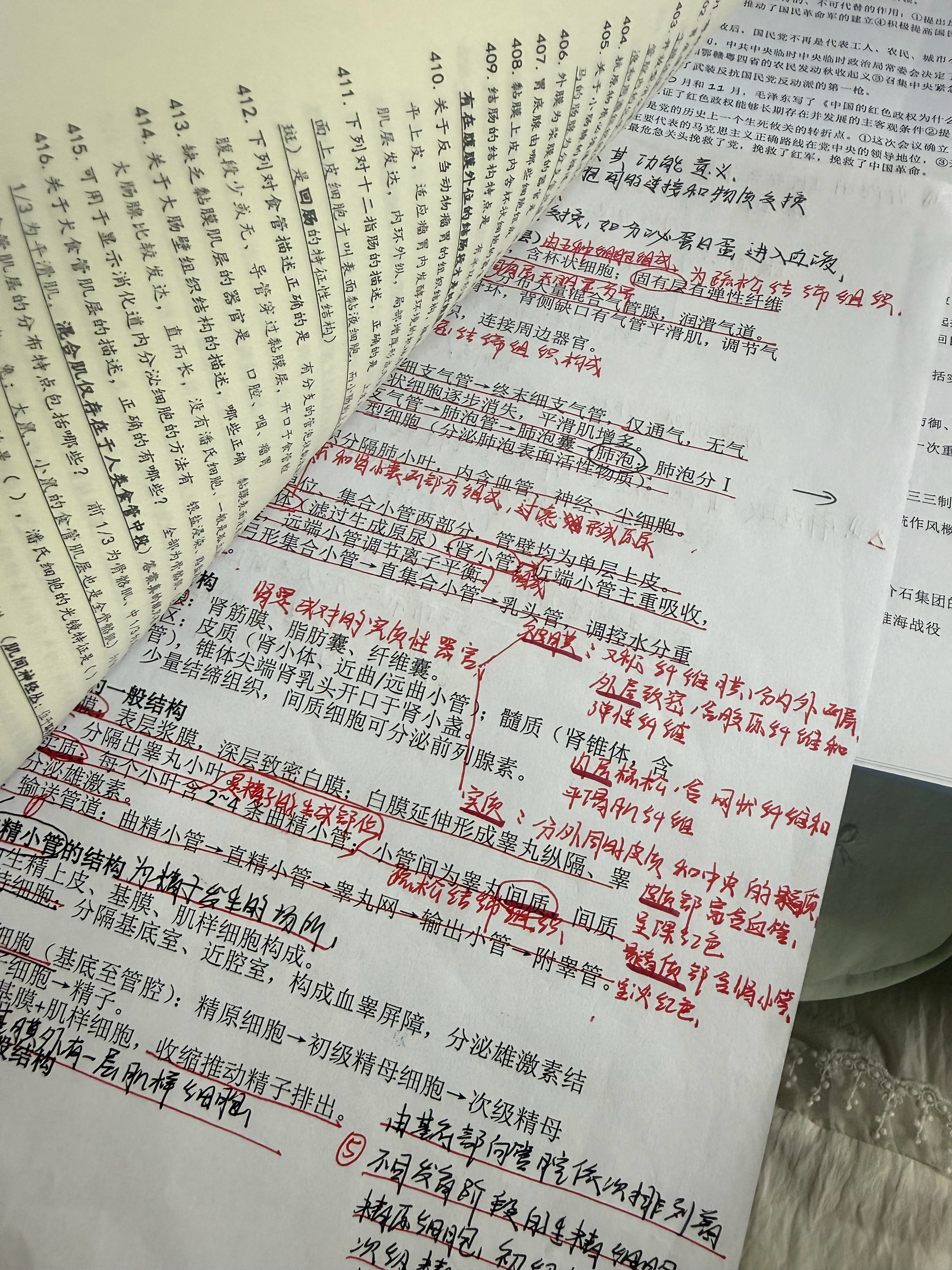 已怒学四小时