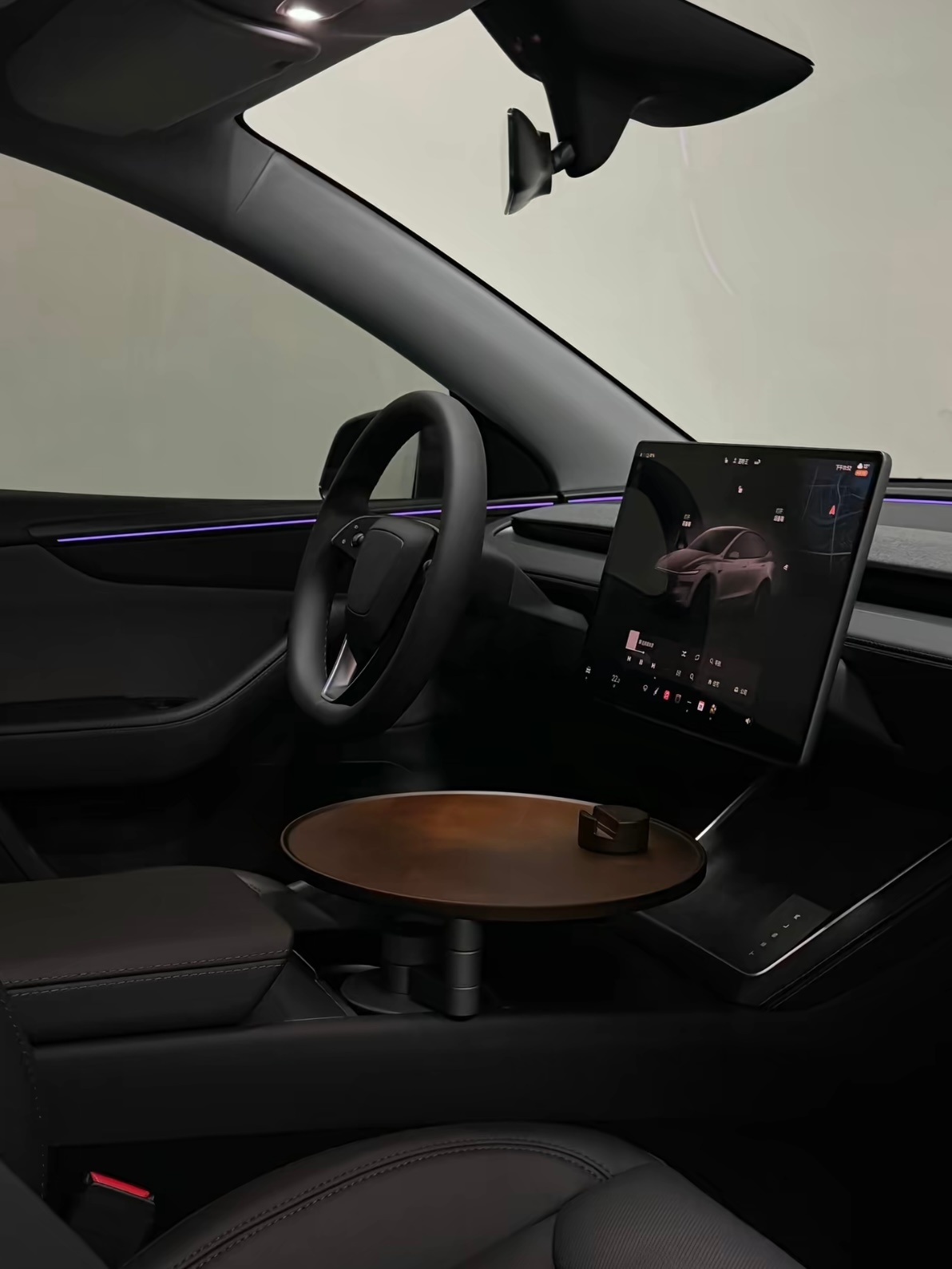 看到一位特斯拉车主，把理想的桌板装进车里了，竟然毫无违和感