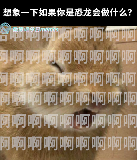 无异现在今日meme[超话]今日memes ​​​