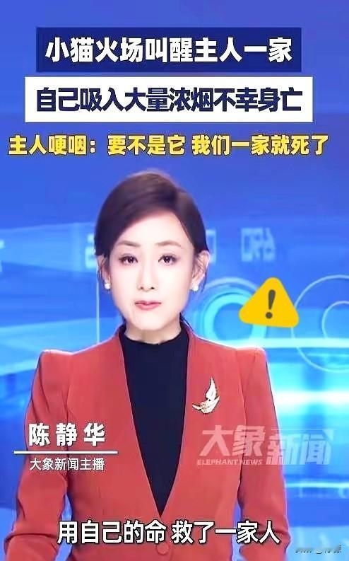 深圳那只救了一家人的小猫，死因报告出来了。

不是被火烧死的，也不是直接被烟呛死