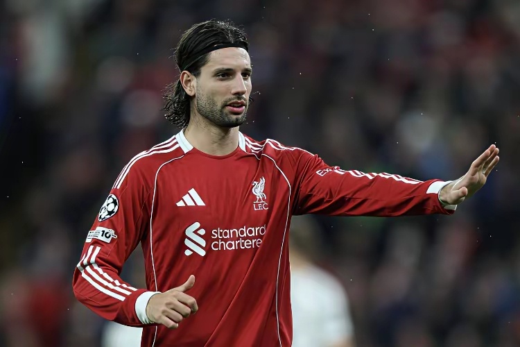 利记的后防才是大问题，场场失两三球，神仙来了也难救， 范戴克绝对是光速下滑的那个