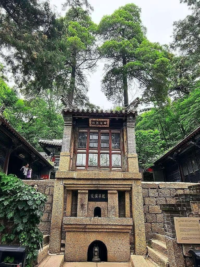 千山龙泉寺百年变迁，老照片据说大约一百年，看看两棵树的变化。历史古寺庙 历史文化