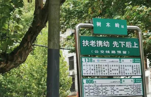 树木岭有哪些不为人知的故事？树木岭是升级版农村还是城市核芯？提起以前的树木岭，外