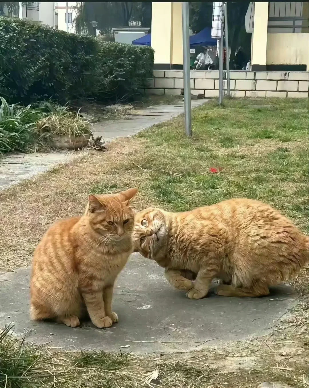 确认朋友是不是真生气时
