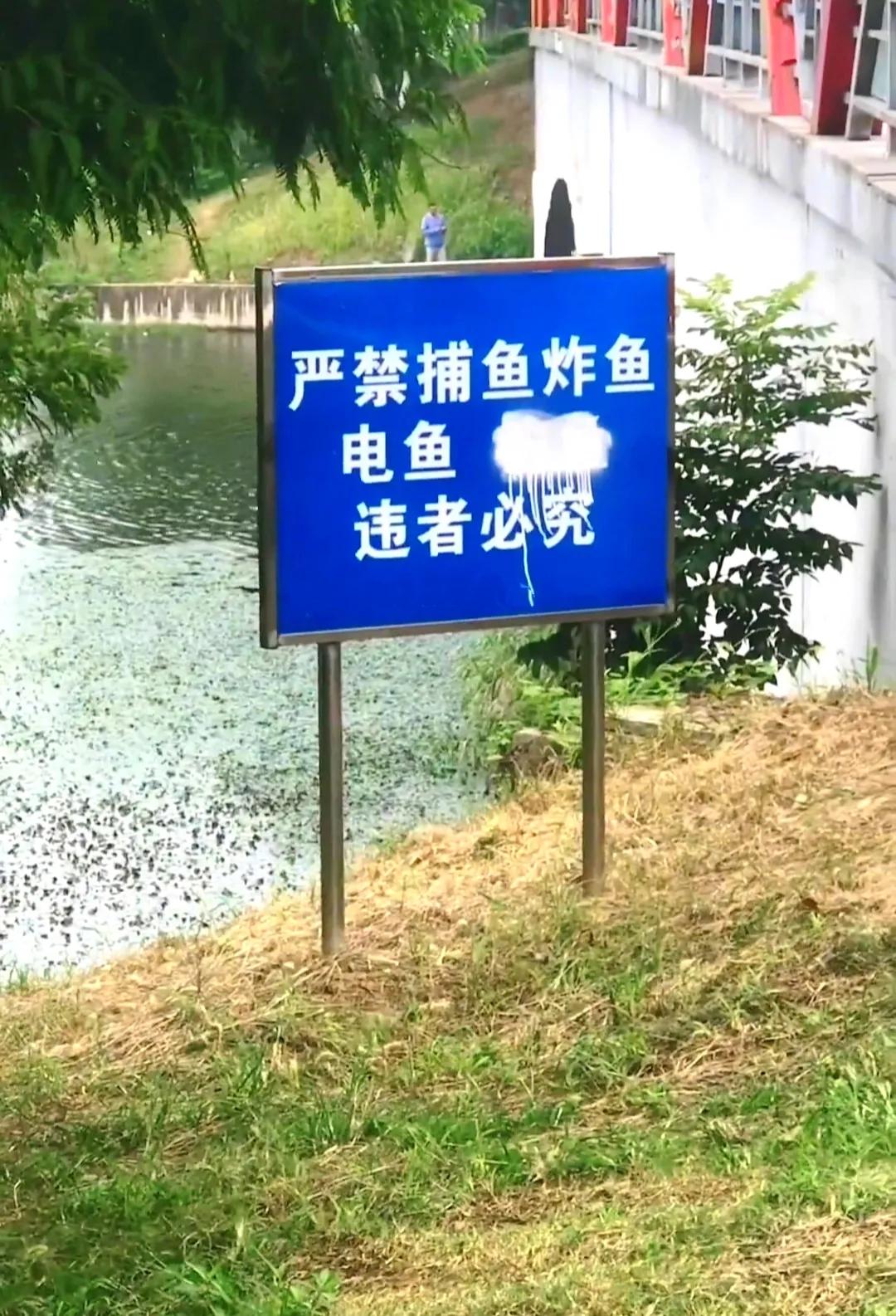 不知是触犯了谁的利益，水边标识牌上有一条内容被人为破坏掉了，请猜猜看，你们觉得被
