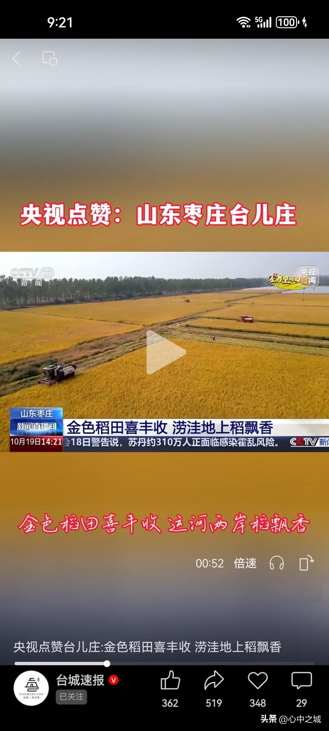 欢迎姐妹们来山东做客，你可能想不到吧，这里也有人种水稻！看看这金灿灿的稻穗，闻闻