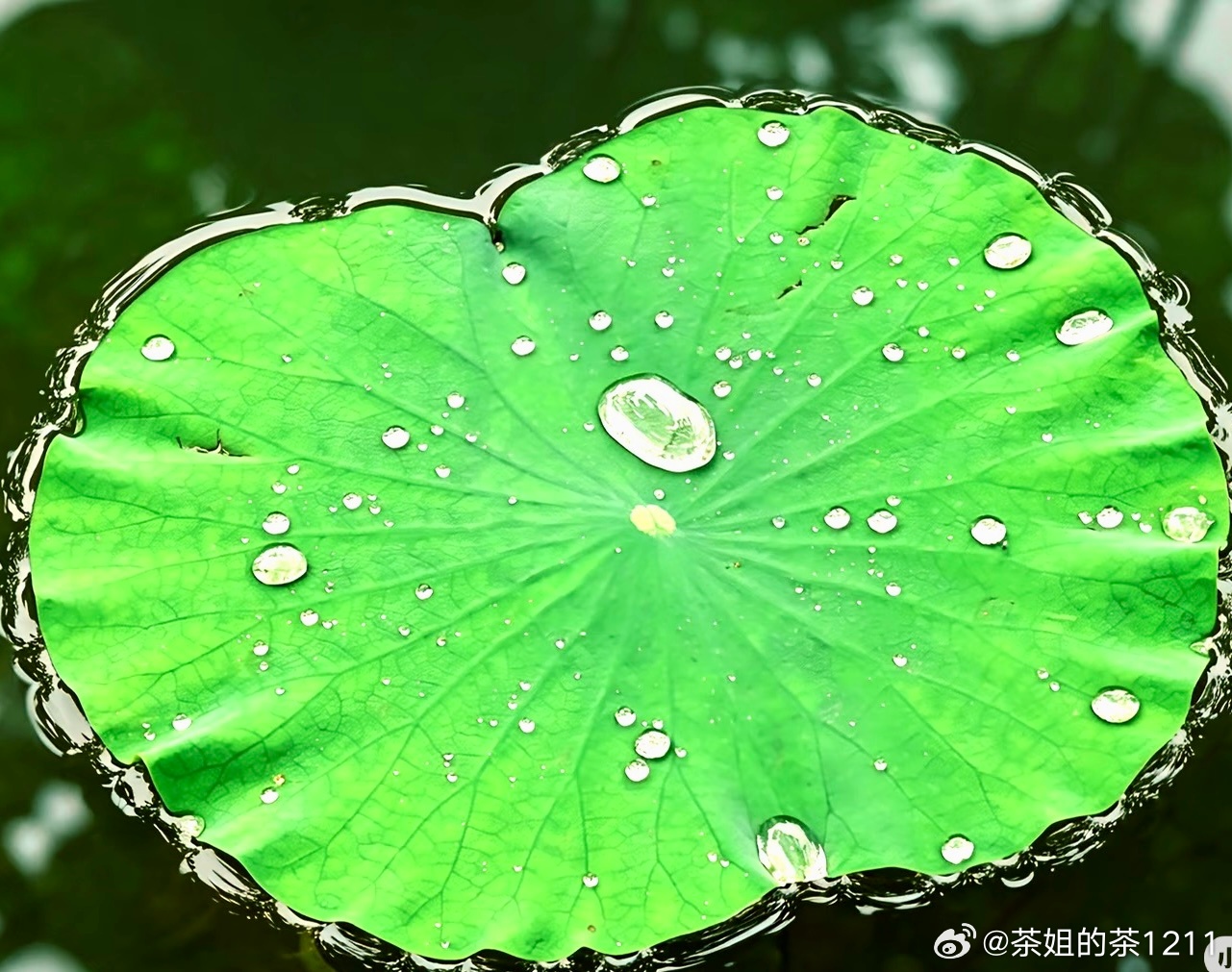 【人生处处是修行】【生气，就好像自己喝毒药而指望别人痛苦】人生，是一场跋涉，路难