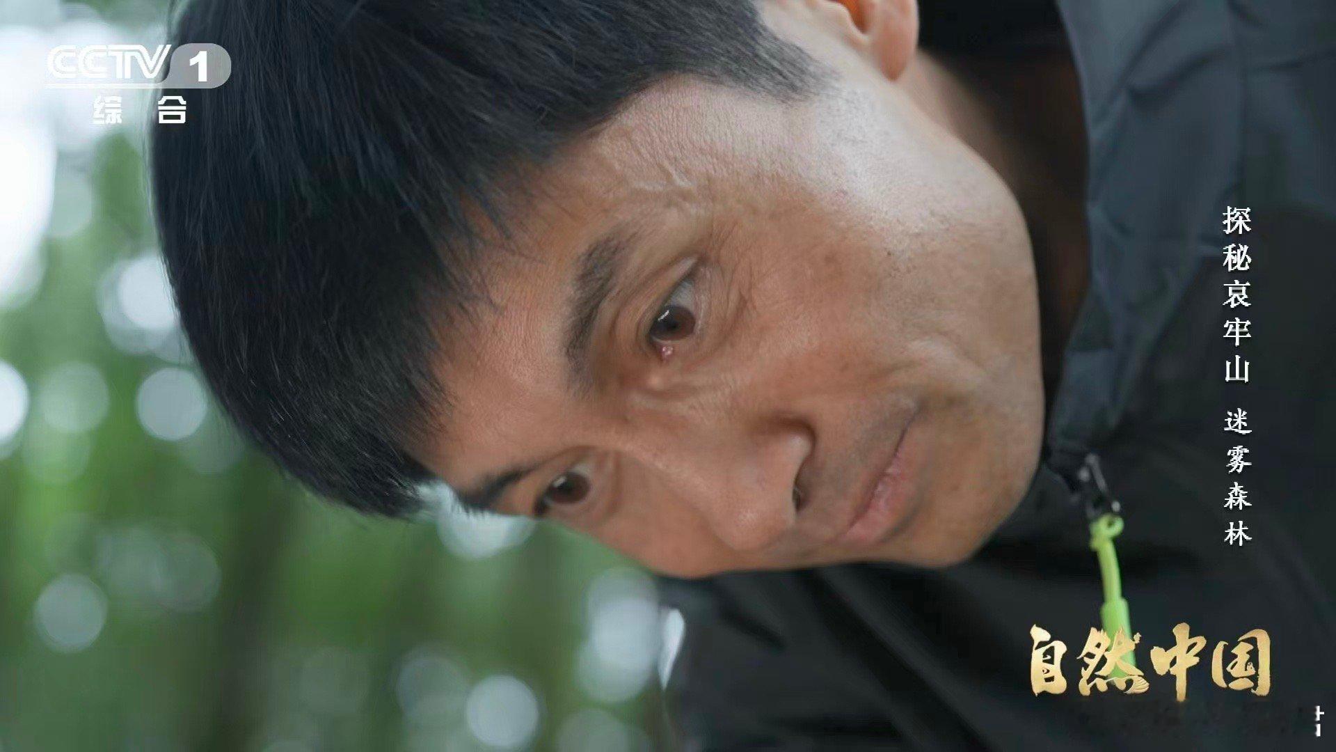 哀牢山神秘植物不靠光合作用存活哀牢山这种花每年仅露面40多天  什么是“腐生智慧