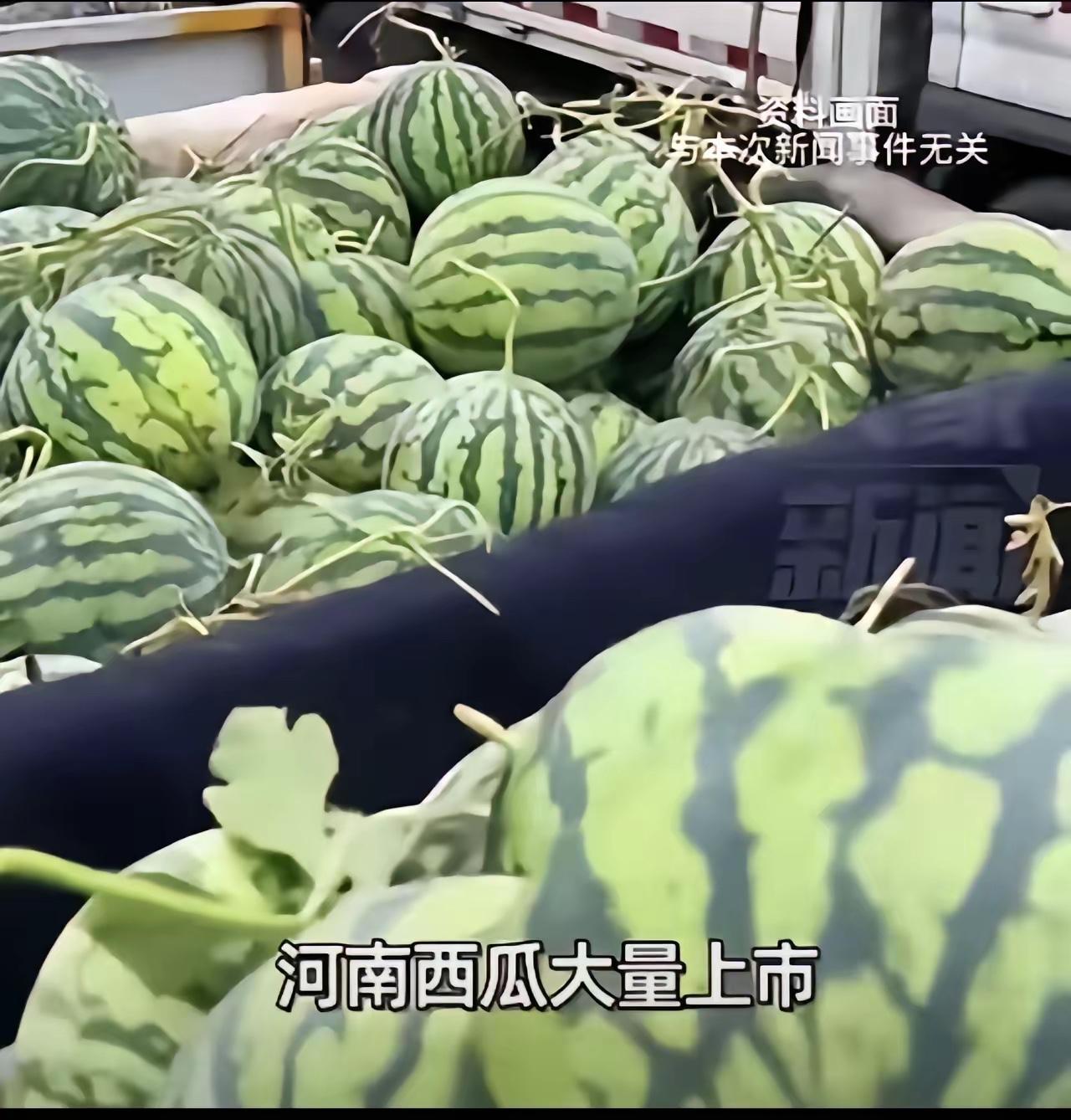 河南，一男子看到老家西瓜大丰收，拉了18吨到北京，想帮瓜农打开销路。定价8毛一斤