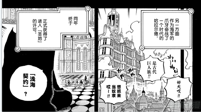 海贼王 印记。印记分为，浅海，深海，深深海三种神之骑士团一共是13名。成为神之骑