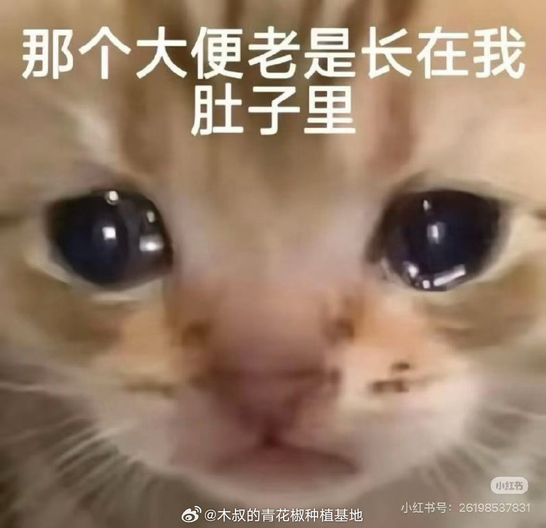 😋这个人很想参与百绘罗衣。😧然后这个人今天发现了两道劫（）第一是翻出了自己之