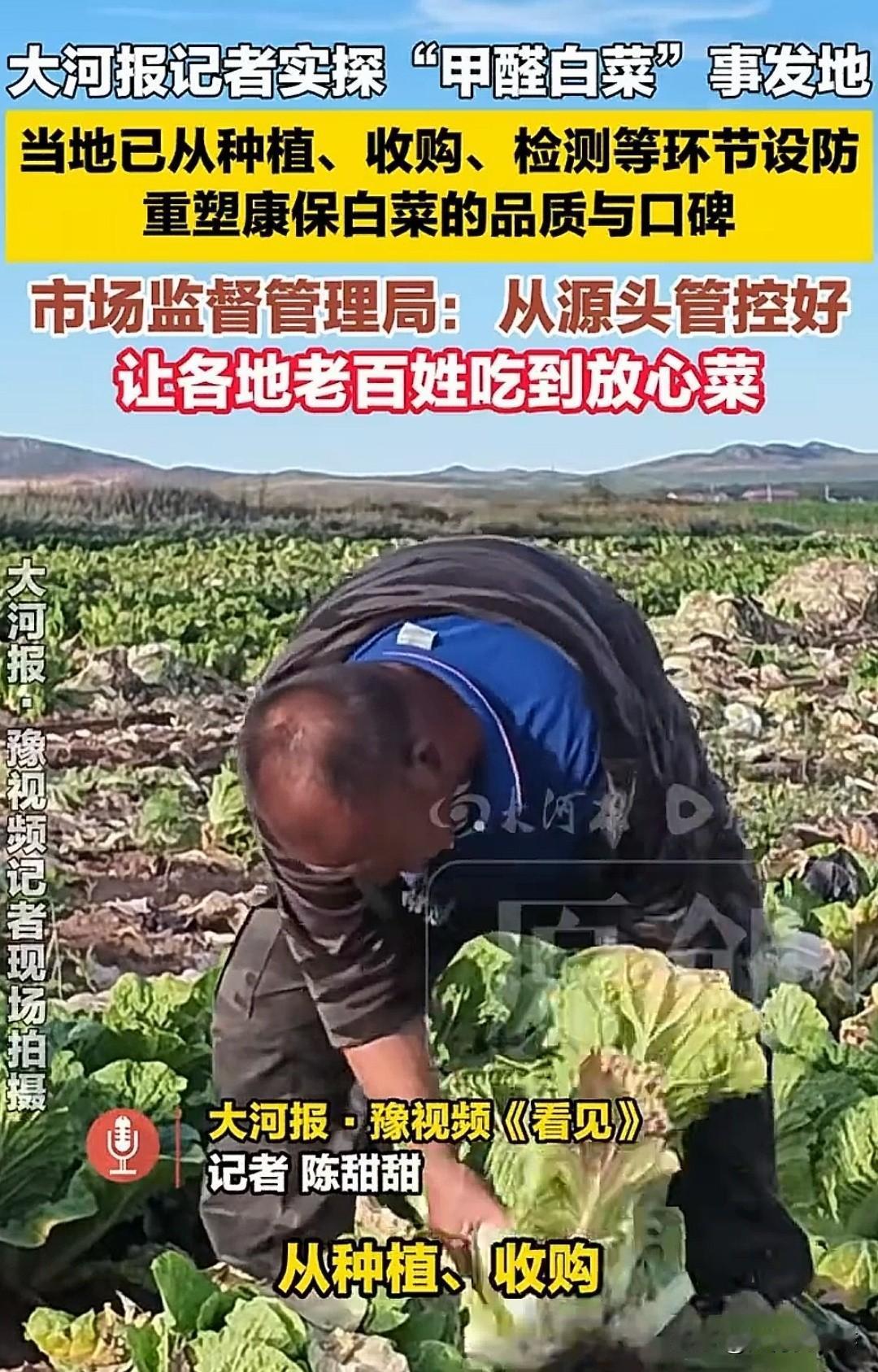 曝光蘸甲醛保鲜白菜后续：产地24小时卡口检测，货运司机终于拿到凭证

8月22日