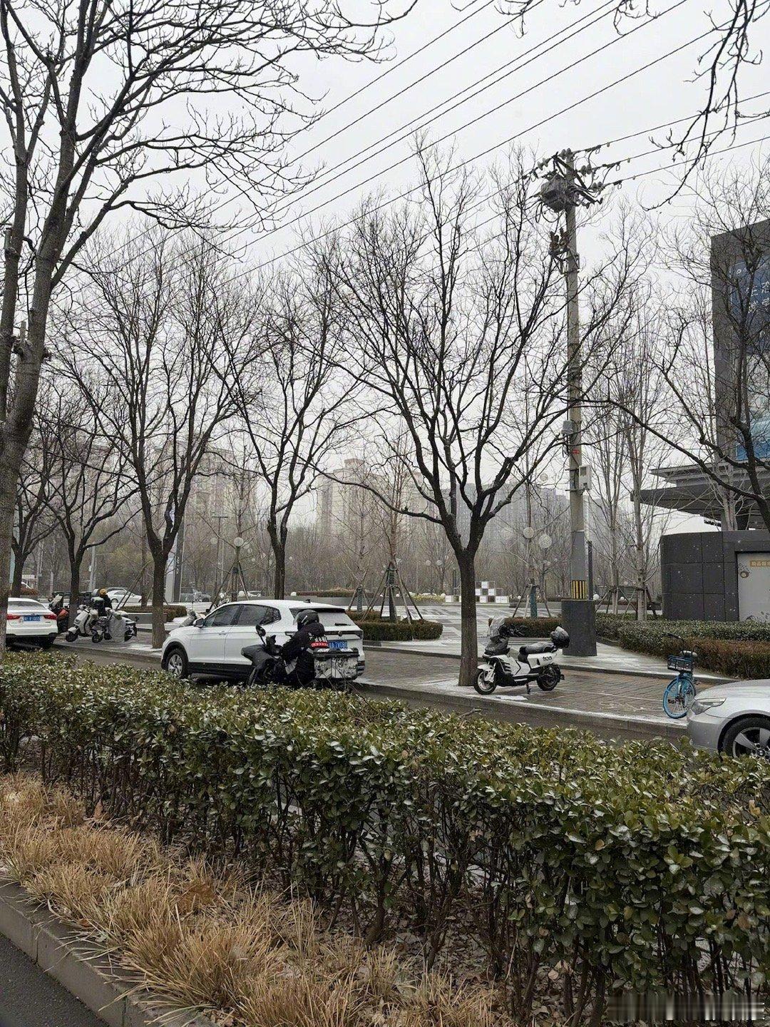 北京下雪了！❄️ 