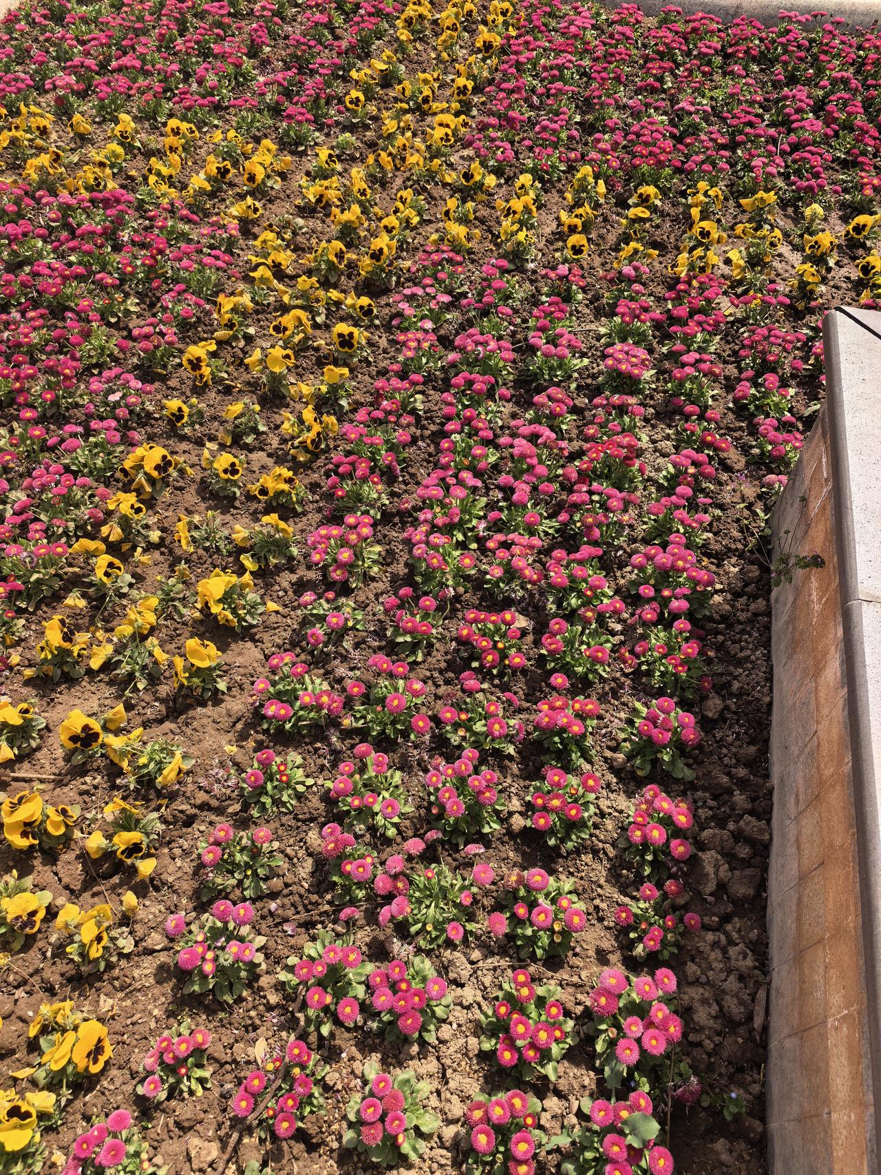 兆易创新A股本周走势分析及展望

一、本周走势回顾

2026年4月7日至10日