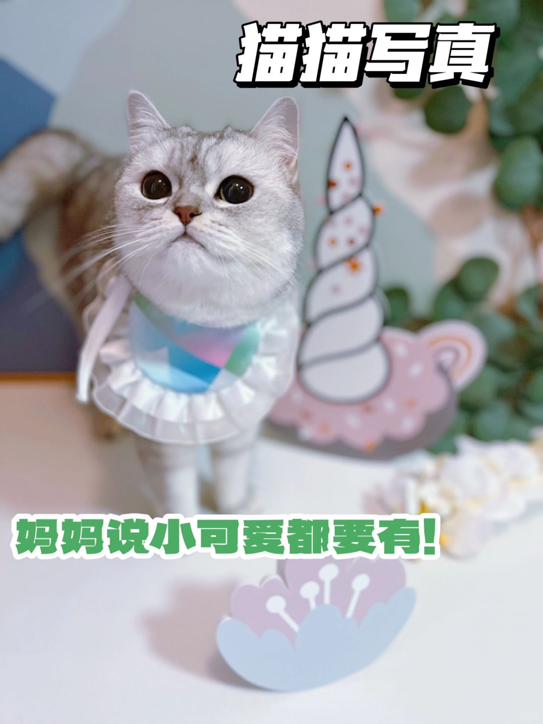 希望他们可以顺利过冬