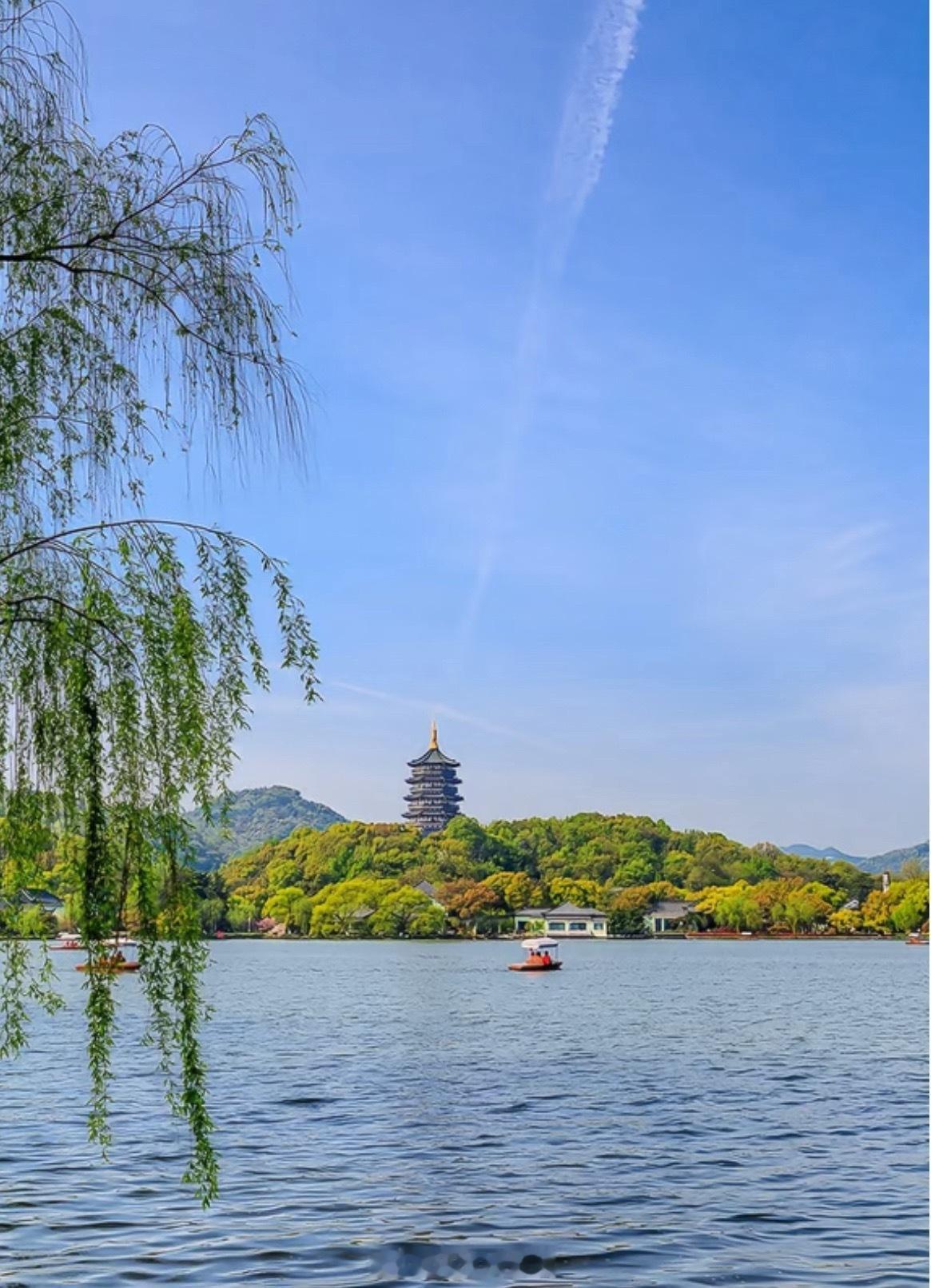 杭州西湖将连续一周撒7吨漂白粉落地杭州了和几个朋友约了喝茶顺便去西湖转一圈话说撒