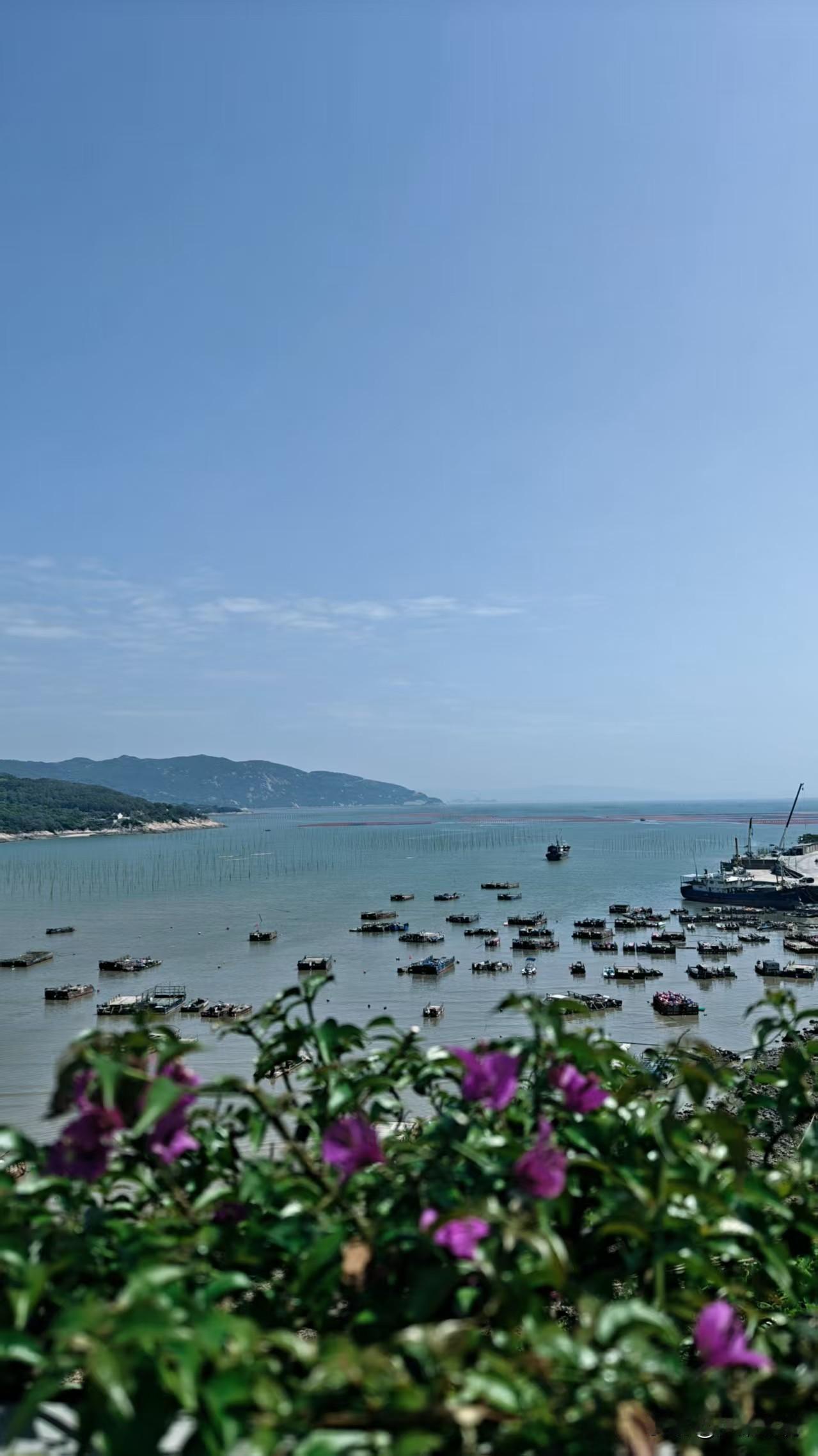 海天一色，渔船点缀，紫花点缀，宁静如画。