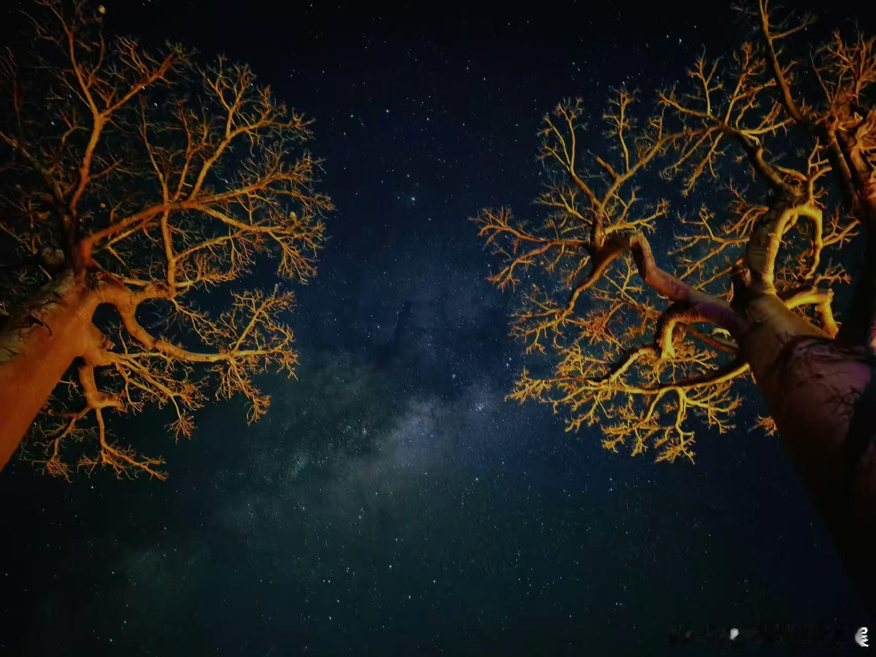 那英拍的星空那英花少美好时刻那英花少美好时刻，好看，[嘻嘻][嘻嘻] ​​​