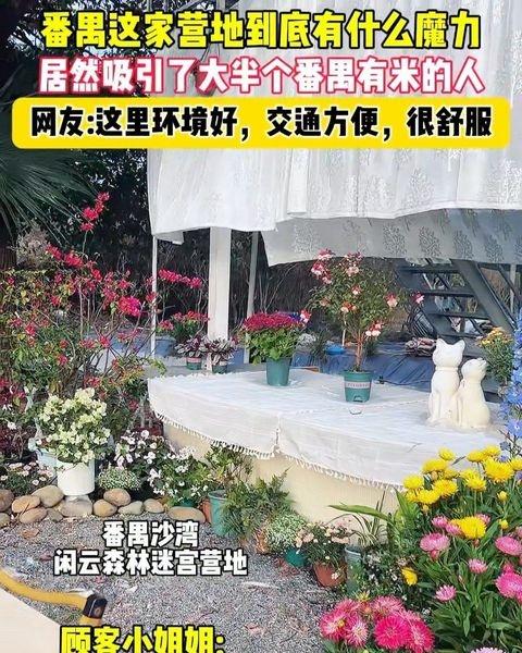 到底有什么魔力
📍广州 闲云森林迷宫·团建·亲子宠物营地