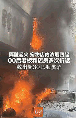 浙江丽水沿街商铺起火，隔壁宠物店遭波及。店长与店员不顾危险，多次折返，从浓烟中救