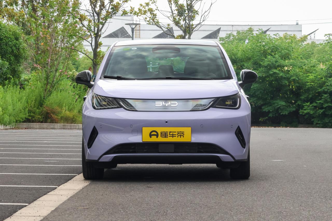 第一眼看到2026款比亚迪海豚感觉这个车颜值可以，两个大灯中间的镜面饰板设计看上