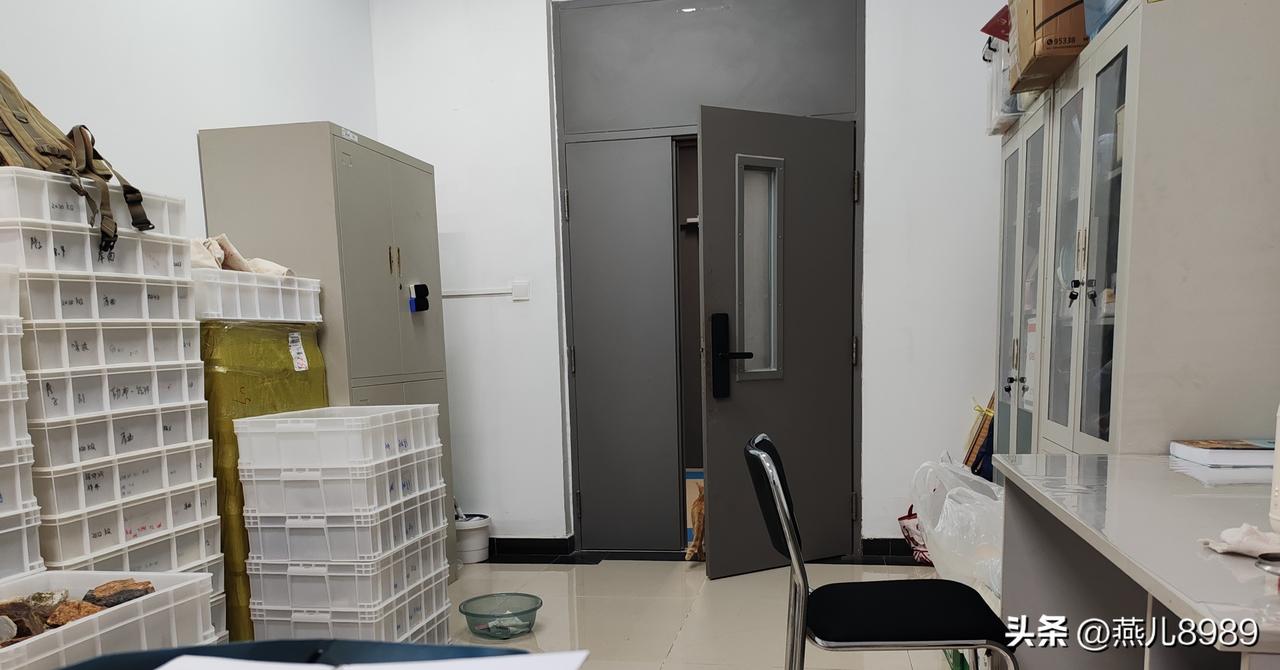 办公室的不速之客